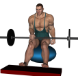 Calf Raise - Fitness Ball Single Barbell